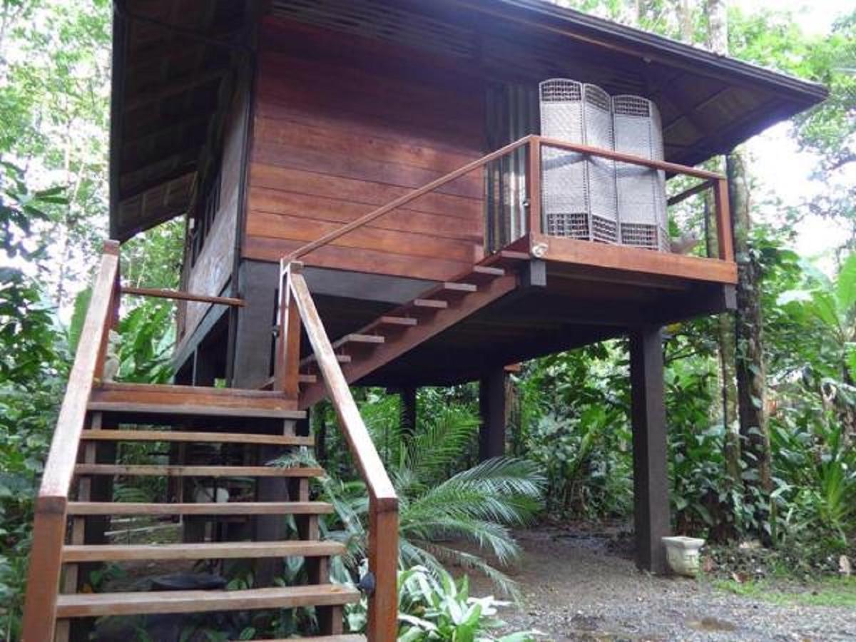 Mar Verde Lodge Puerto Viejo de Talamanca Exterior photo